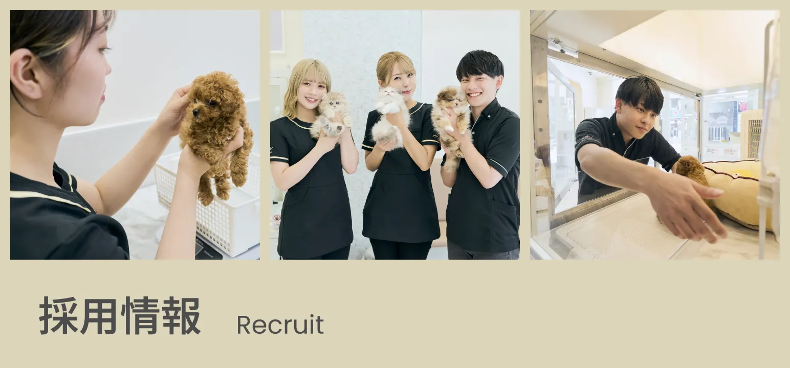 採用情報バナー