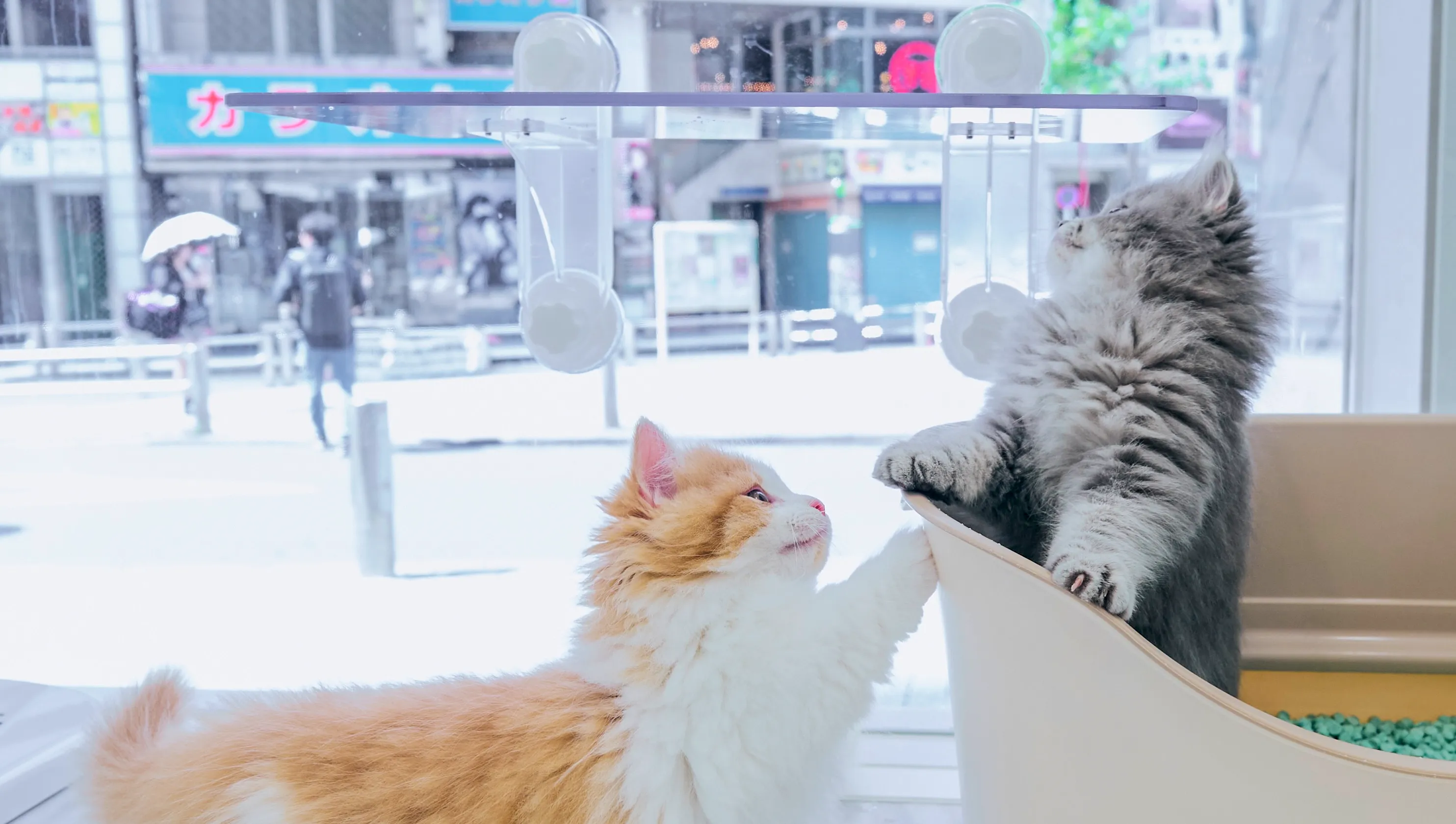 こんな方を求めています